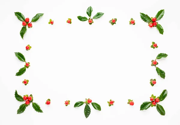 Різдвяна композиція з гілками ялини і Холлі з ре — стокове фото