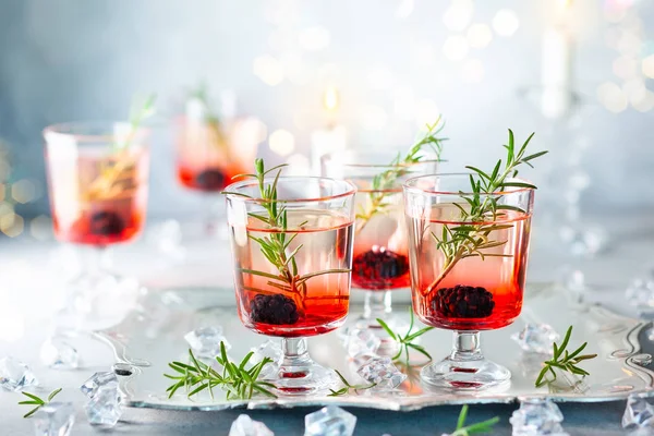 Winter berry cocktails — Stock Photo, Image