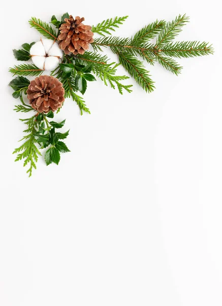 Composición navideña con ramas de abeto y acebo en whi —  Fotos de Stock