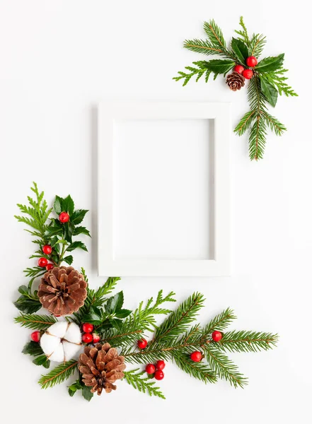 圣诞构图与相框，棉花花，树枝 — 图库照片