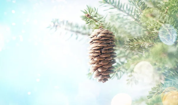 Christmas fir tree branches with pine cones on blurred blue