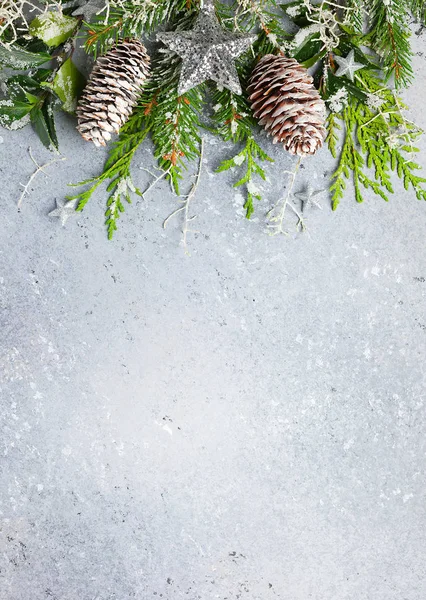 Jul eller vinter bakgrund med en gräns av grönt och Froste — Stockfoto