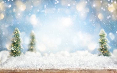 Ahşap masası, köknar ağaçları ve... 