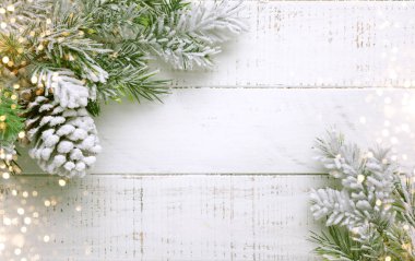Noel ağacı dalı ve beyaz bir ağaçta karlı kozalak.