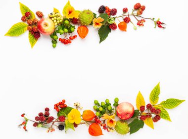 Çiçeklerden, yapraklardan, beyaz arka planda böğürtlenlerden oluşan sonbahar kompozisyonu. Şükran Günü ya da diğer tatiller için sonbahar konsepti. Düz yat, boşluğu kopyala.