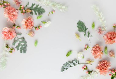 Mercan karanfilinden ve Senecio Cineraria 'nın gri arka plandaki gümüş yeşili yapraklarından oluşan çiçekler. Doğa konsepti, kopyalama alanı, düz alan.