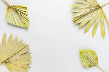 Pastel gri arka planda kurutulmuş güzel palmiye yaprakları. Doğa tropikal kavramı, kopyalama alanı, düzlük.