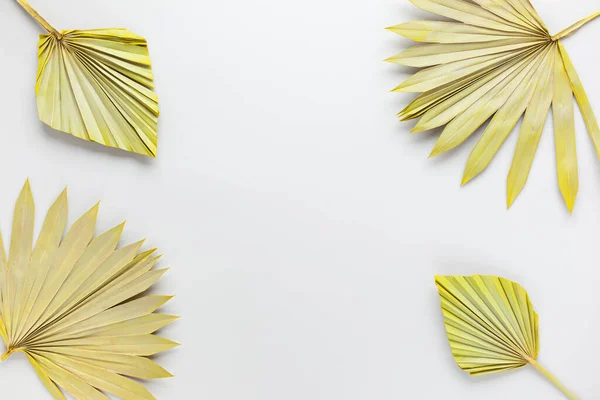 Schönheit Getrocknete Palmblätter Auf Pastellgrauem Hintergrund Natur Tropisches Konzept Kopierraum — Stockfoto