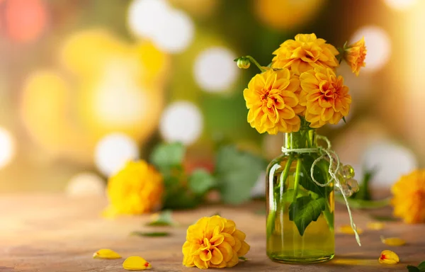 緑の花瓶に新鮮な黄色のダリアで作られた秋の花の花束は お祝いのボケと緑の背景をぼかし — ストック写真