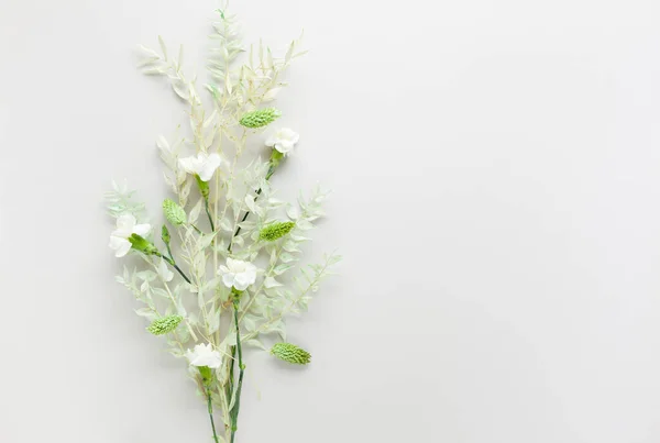 Blütenkomposition Aus Getrockneten Hellgrünen Blättern Des Roscus Und Weißen Blüten — Stockfoto