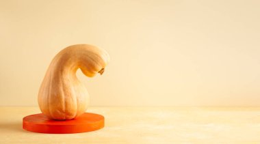 Kürsüde tereyağlı balkabağı olan modern bir hayat. Pastel zemin üzerinde yiyecek ve geometrik nesne ile sonbahar kavramı.