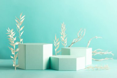 Pastel arkaplanda farklı geometrik nesnelerin bileşimi. Altıgen şekilli podyumlarla soyut arkaplan