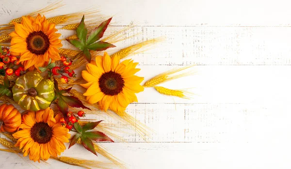 秋天收获或感恩节的概念 秋天的组成与南瓜 麦穗和向日葵在白色的木制桌子上 复制空间 — 图库照片