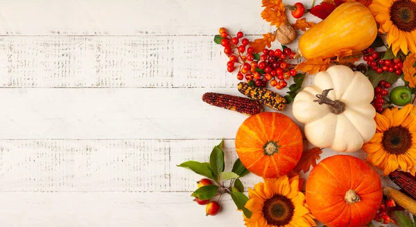 Herbstliche Komposition Mit Kürbissen Sonnenblumen Blättern Und Beeren Auf Weißem — Stockfoto