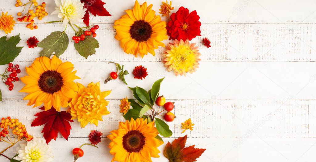 Autumn composition with sunflowers, leaves and berries on white wooden table. Flat lay, copy space. Concept of fall harvest or Thanksgiving day.