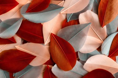 Sonbahar yapraklarına benzer renkli kuş tüylerine sahip soyut bir arka plan. Düz yatıyordu