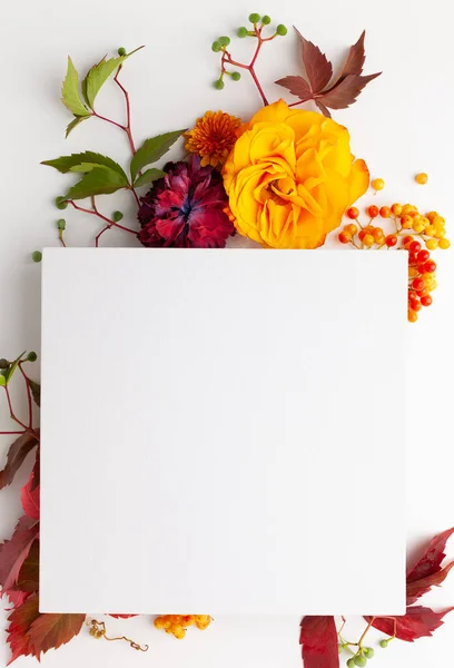 Σύνθεση Φθινοπώρου Λουλούδια Φύλλα Και Μούρα Λευκό Φόντο Επίπεδο Lay — Φωτογραφία Αρχείου