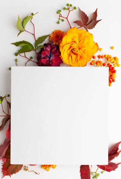 Composição Outono Com Flores Folhas Bagas Fundo Branco Flat Lay — Fotografia de Stock