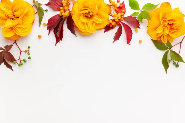 Herbstliche Komposition Mit Blüten Blättern Und Beeren Auf Weißem Hintergrund — Stockfoto