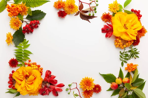 Autumn Composition Flowers Leaves Berries White Background Flat Lay Copy — Stock Photo, Image