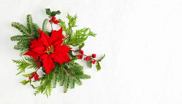 白い背景にポインセチアの花やホリーベリーとクリスマスの装飾 お祭りの冬の休暇のコンセプト — ストック写真