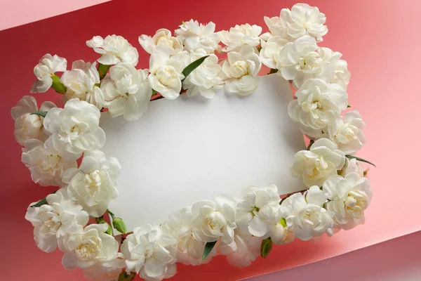 Feestelijke Bloemen Frame Gemaakt Van Witte Anjers Pastel Roze Achtergrond — Stockfoto