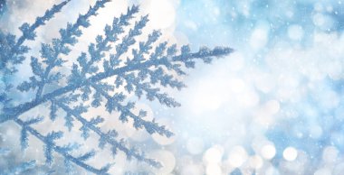 Güzel Noel ya da Kış arkaplanı, karlı ve buzlu bitki dallarıyla parlak bokeh arka planda. Yumuşak odak