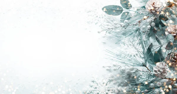 Karlı Köknar Dalları Arka Planda Çam Kozalağı Olan Noel Yeni — Stok fotoğraf