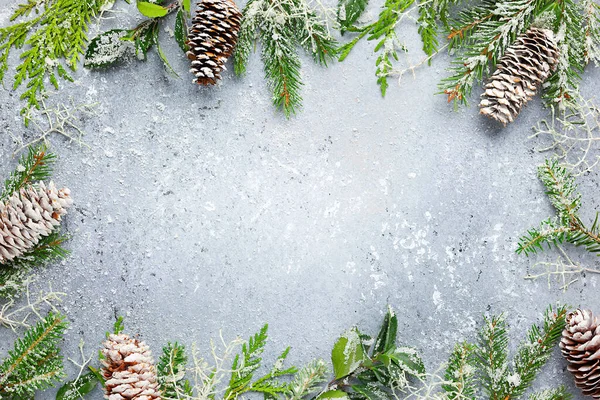 Jul Eller Vinter Bakgrund Med Gräns Gröna Och Frostat Vintergröna — Stockfoto