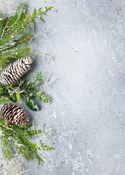 크리스마스나 겨울의 배경은 녹색과 상록수 가지와 빈티지 솔방울과의 경계이다 복제품 — 스톡 사진