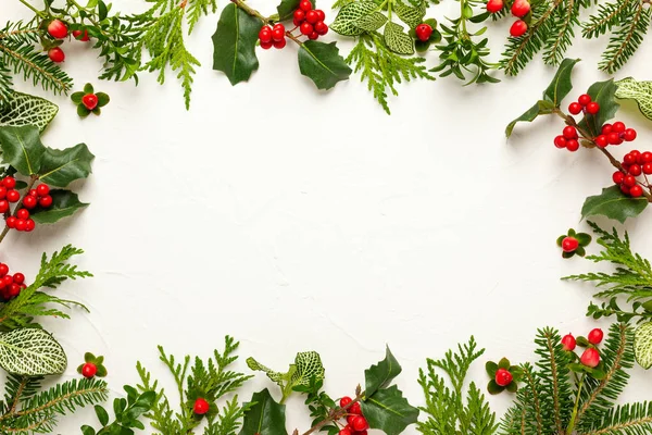 Рождественский Фон Ветвями Ели Вечнозеленых Падуба Красными Ягодами Белом Зимняя — стоковое фото