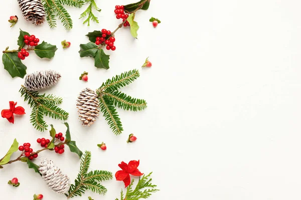 松のコーンとクリスマスの背景 赤い果実と白いモミの木を持つホリーの枝 冬のお祝いの自然コンセプト コピースペース — ストック写真