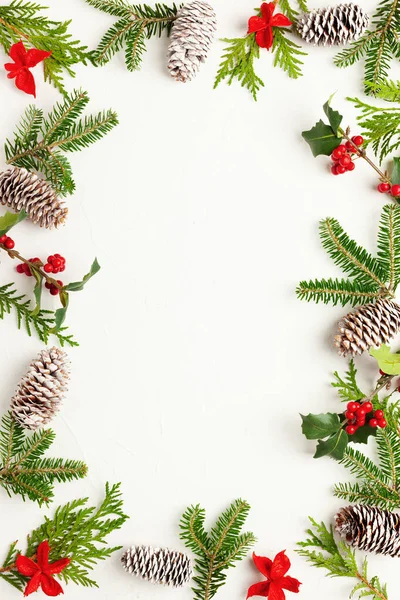 Vánoční Pozadí Borovicovými Kužely Větvemi Cesmíny Červenými Bobulemi Jedlí Bílém — Stock fotografie