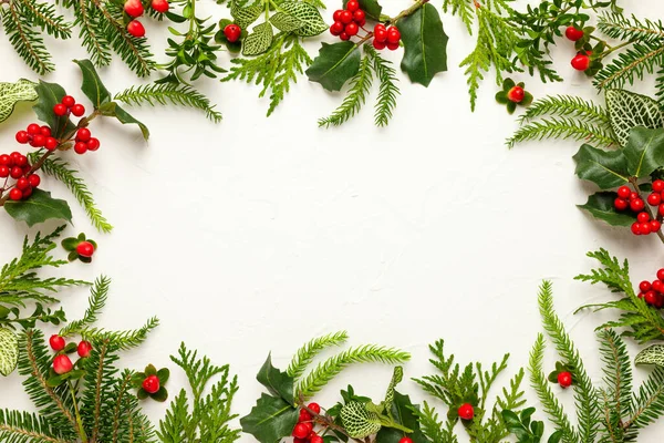 Karácsonyi Háttér Ágak Fenyő Örökzöldek Magyal Vörös Bogyók Fehér Téli — Stock Fotó