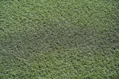 Suni çim Stadı İspanya