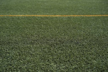 Suni çim Stadı İspanya