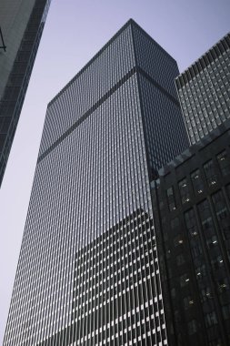 Toronto silueti ve binalar