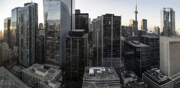 Toronto silueti ve binalar