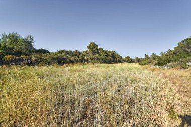 Güneşli bir günde alan manzarası