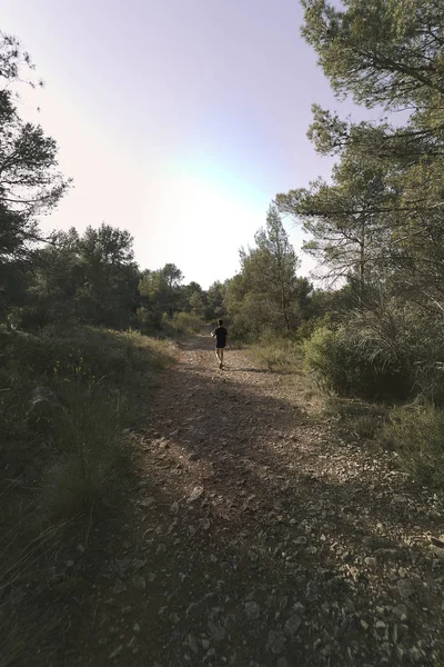 Menino olhando a paisagem em um dia ensolarado — Fotografia de Stock