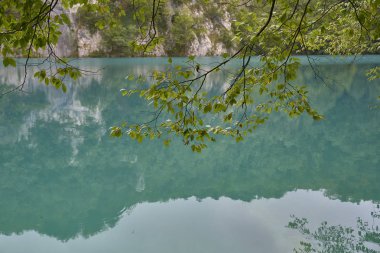 Hırvatistan Plivitce Milli Parkı