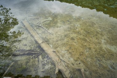 Hırvatistan Plivitce Milli Parkı