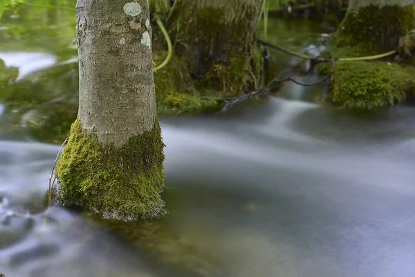 Plivitce Nationalpark in Kroatien. Langzeitbelichtungswasserfall — Stockfoto