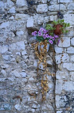 Split şehrinin sokakları. Hırvatistan