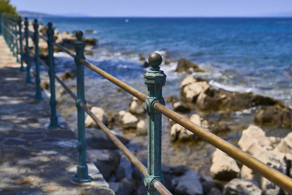 Balaustrer en el mar Adriático — Foto de Stock