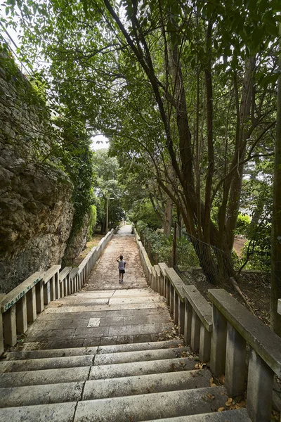 Split şehrinin sokakları. Hırvatistan