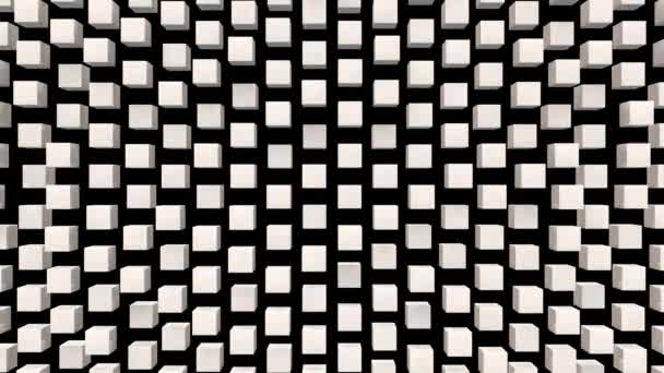 白色立方体与黑色背景跳舞 — 图库视频影像