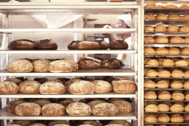 Bread baked in the bakery