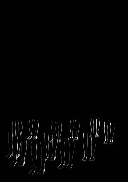 Візуалізація Ілюстрація Людські Частини Чорним Тлом Ноги — стокове фото