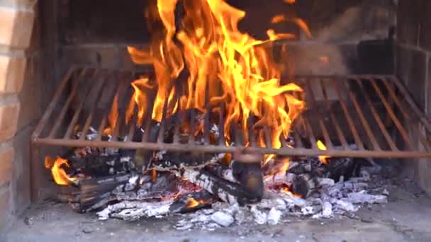 Tűzlángok Barbecue Ban Lassú Mozgás — Stock videók